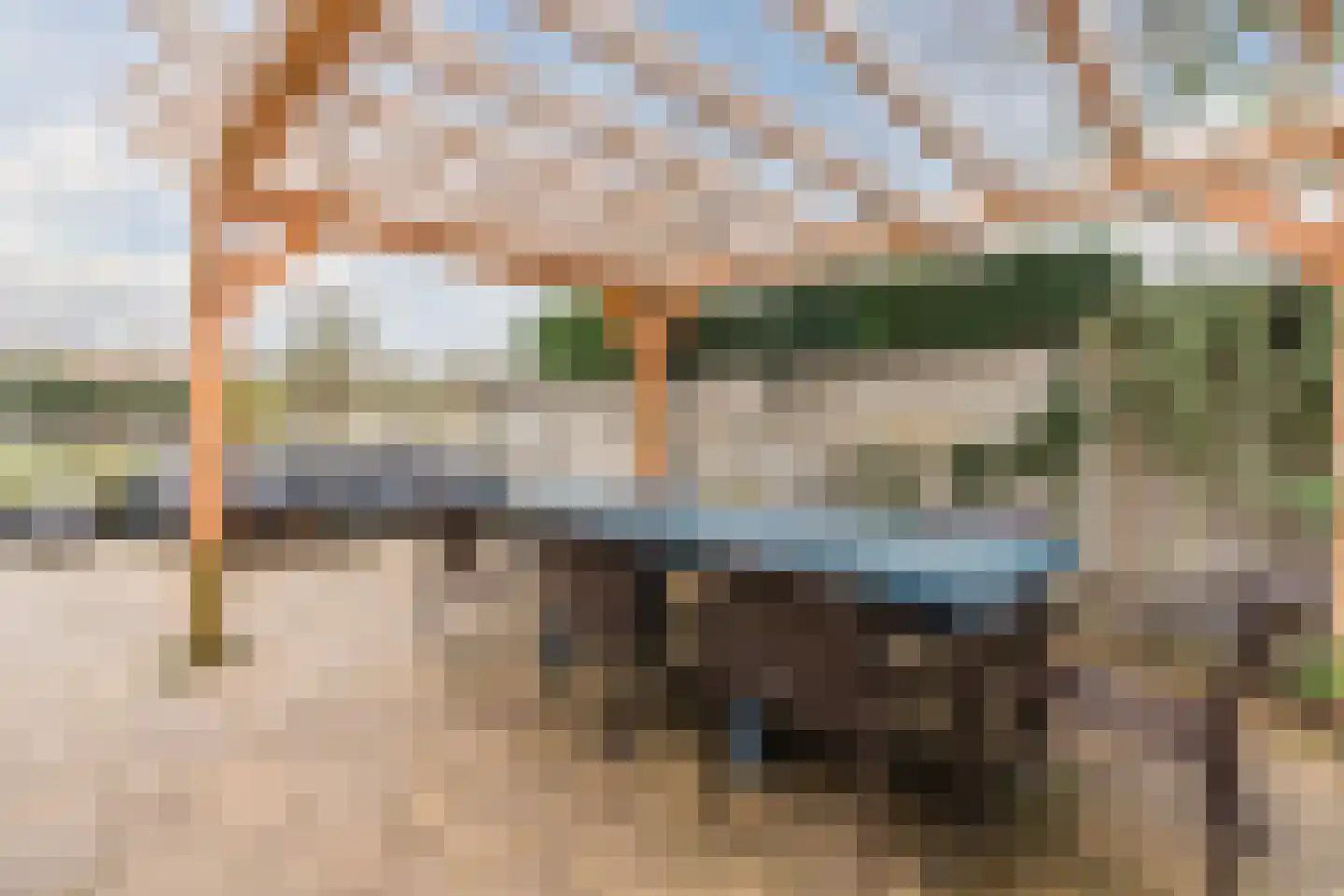 van Erpstraat 13 Geldrop thumbnail 41