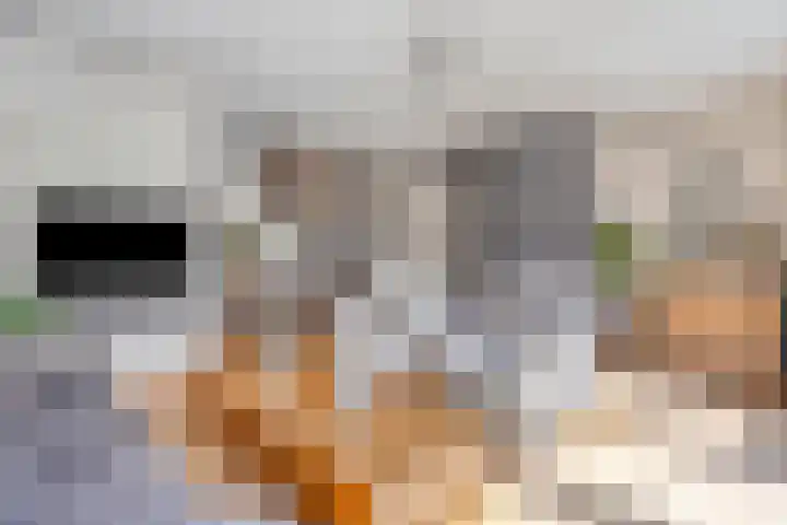 van Erpstraat 56 Geldrop thumbnail 10