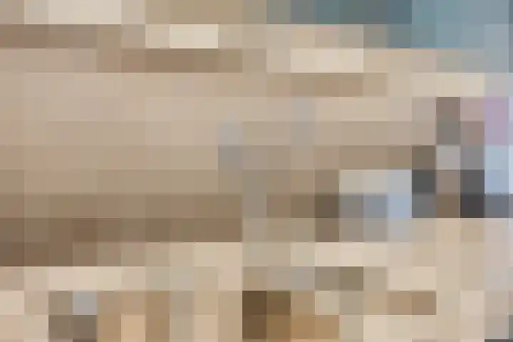 van Erpstraat 56 Geldrop thumbnail 14