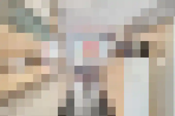 van Erpstraat 56 Geldrop thumbnail 15