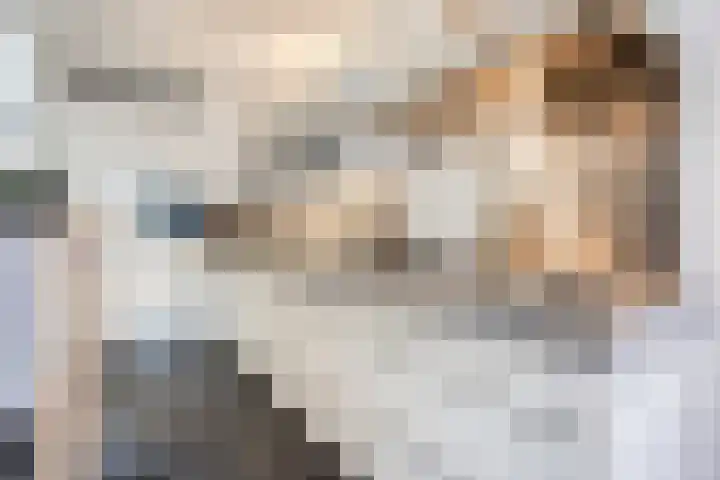 van Erpstraat 56 Geldrop thumbnail 16