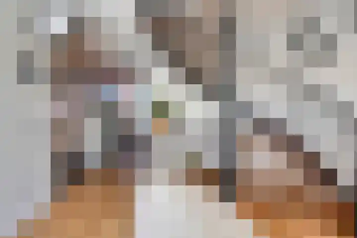 van Erpstraat 56 Geldrop thumbnail 21
