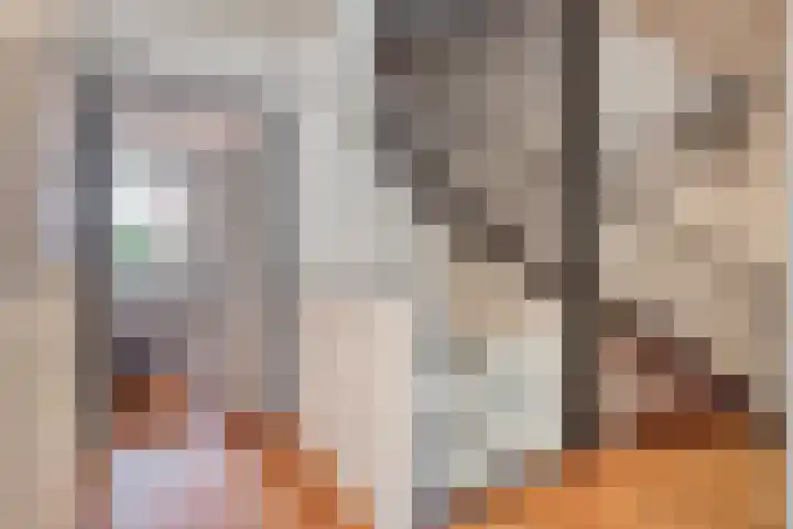 van Erpstraat 56 Geldrop thumbnail 23