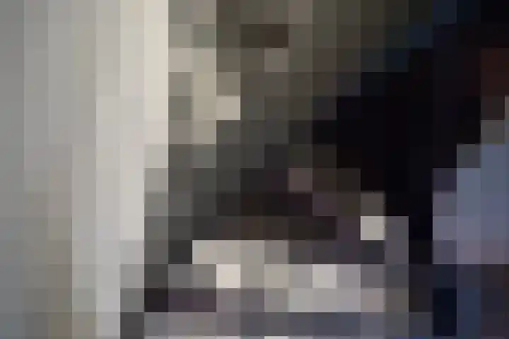 van Erpstraat 56 Geldrop thumbnail 24