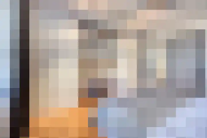 van Erpstraat 56 Geldrop thumbnail 27
