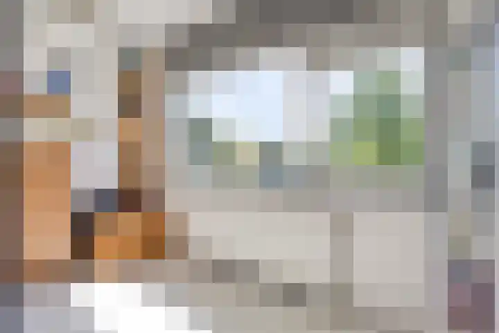 van Erpstraat 56 Geldrop thumbnail 31