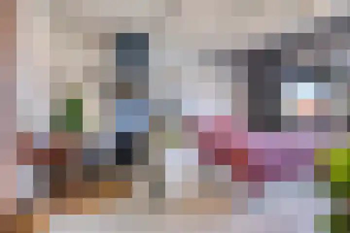 van Erpstraat 56 Geldrop thumbnail 34