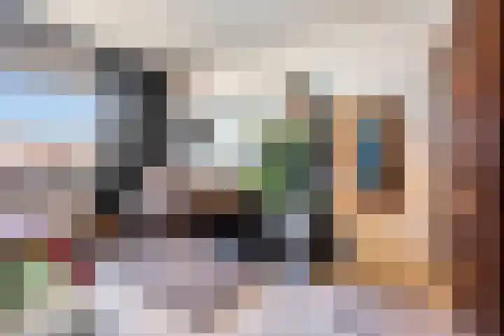 van Erpstraat 56 Geldrop thumbnail 36