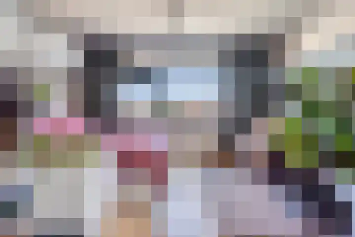 van Erpstraat 56 Geldrop thumbnail 37