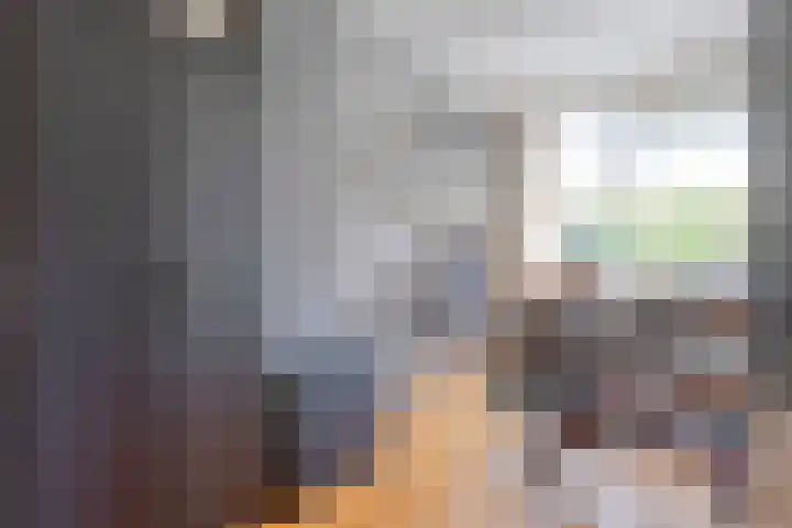 van Erpstraat 56 Geldrop thumbnail 40