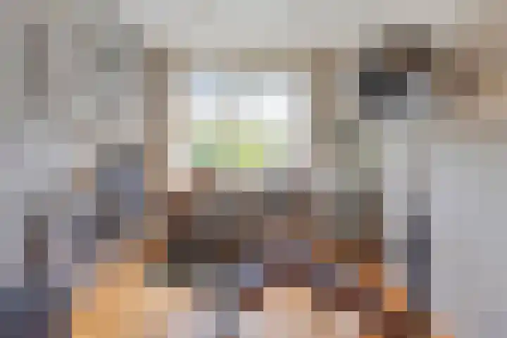 van Erpstraat 56 Geldrop thumbnail 41