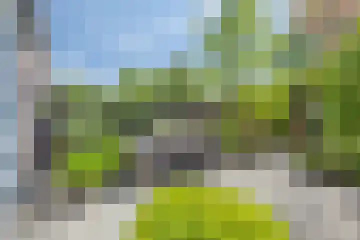 van Erpstraat 56 Geldrop thumbnail 42