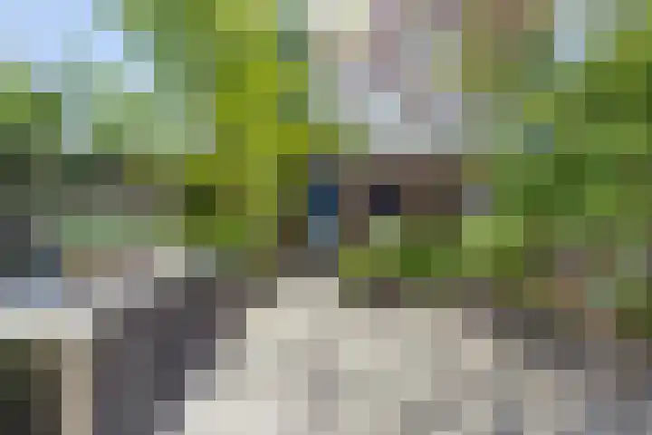 van Erpstraat 56 Geldrop thumbnail 43