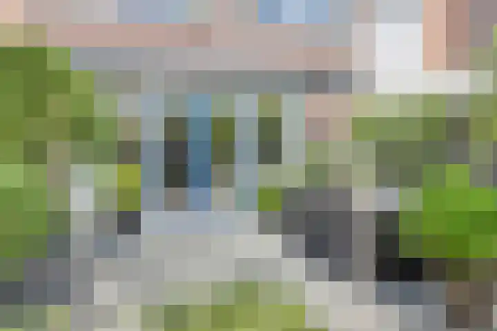 van Erpstraat 56 Geldrop thumbnail 45