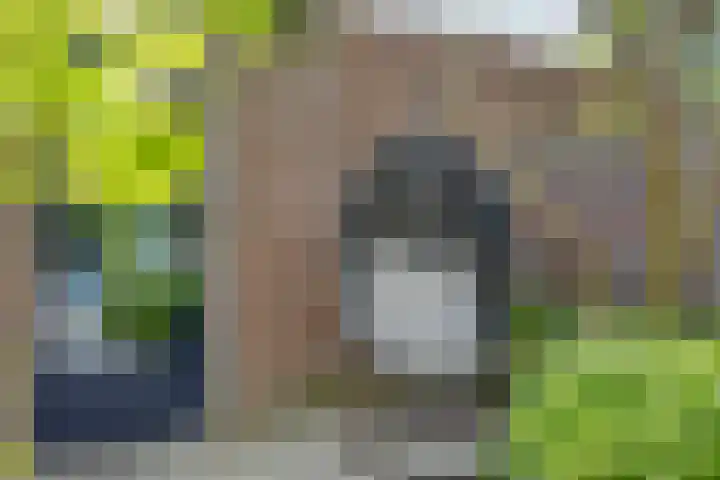 van Erpstraat 56 Geldrop thumbnail 46