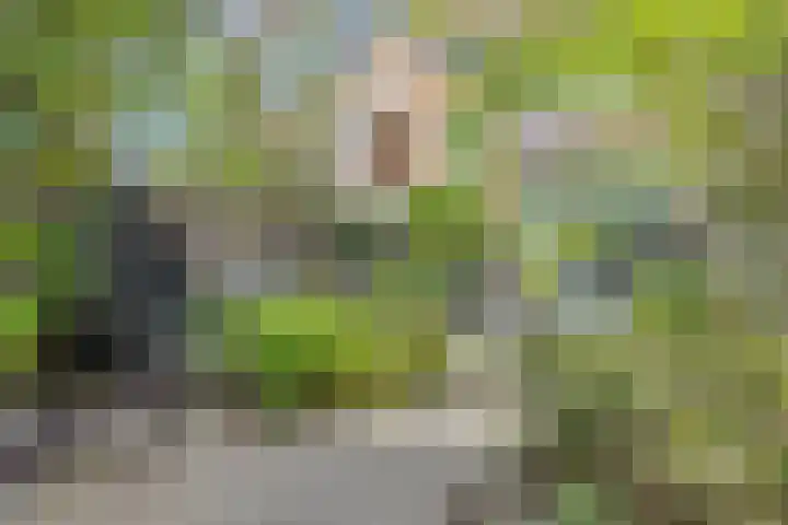 van Erpstraat 56 Geldrop thumbnail 47