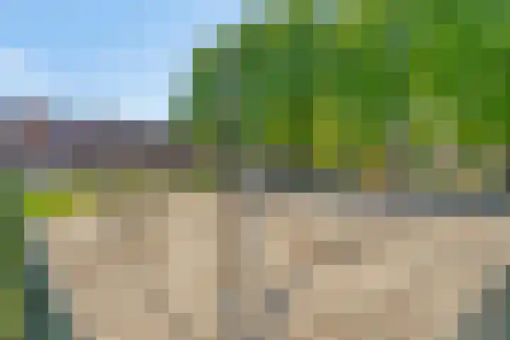 van Erpstraat 56 Geldrop thumbnail 49