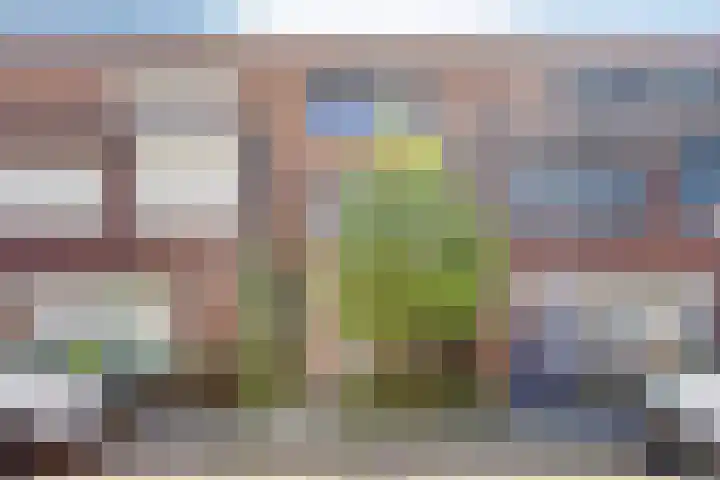 van Erpstraat 56 Geldrop thumbnail 54
