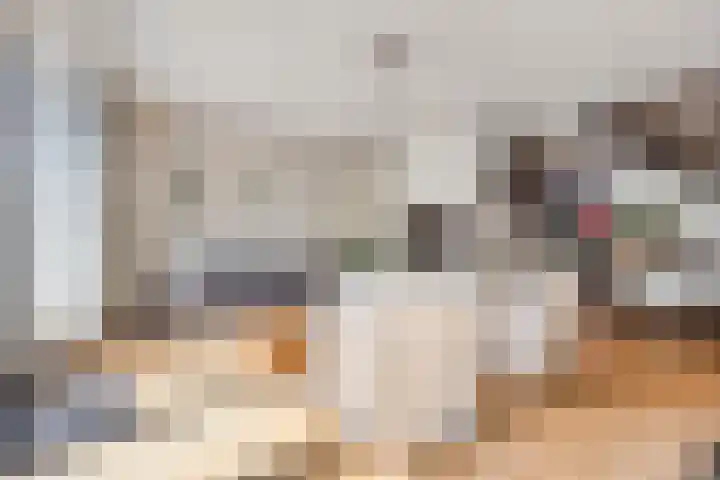 van Erpstraat 56 Geldrop thumbnail 8