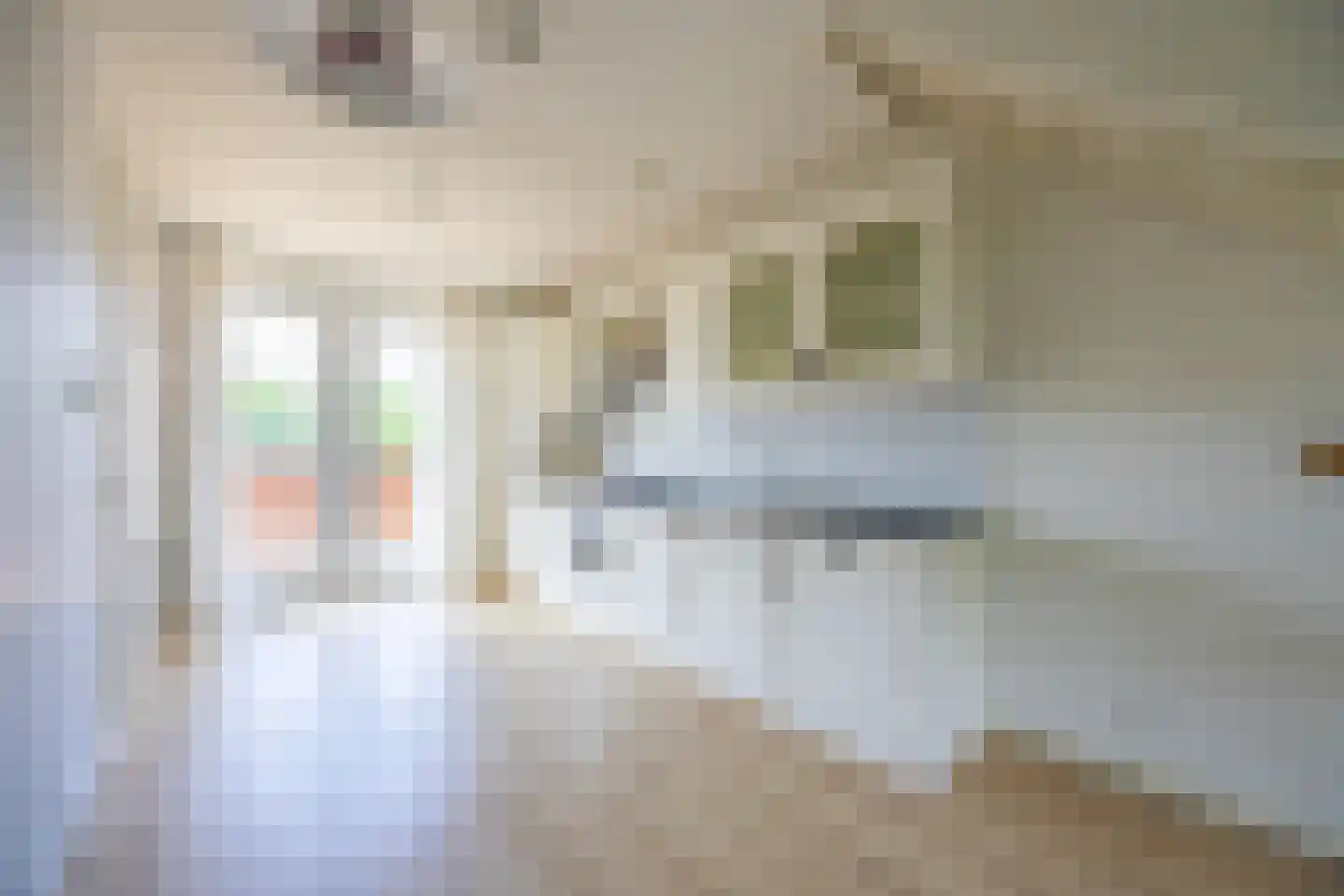 Van Erven Dorenspark 29 Laren thumbnail 11
