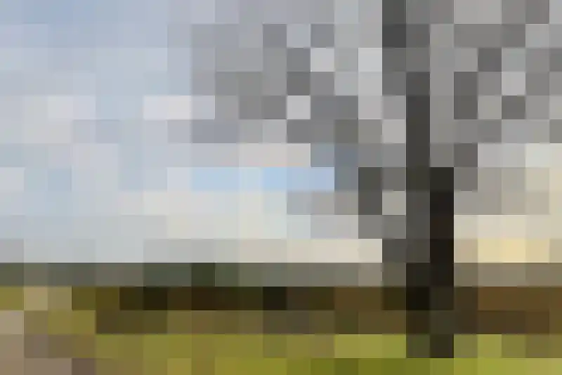 Van Erven Dorenspark 33 Laren thumbnail 15