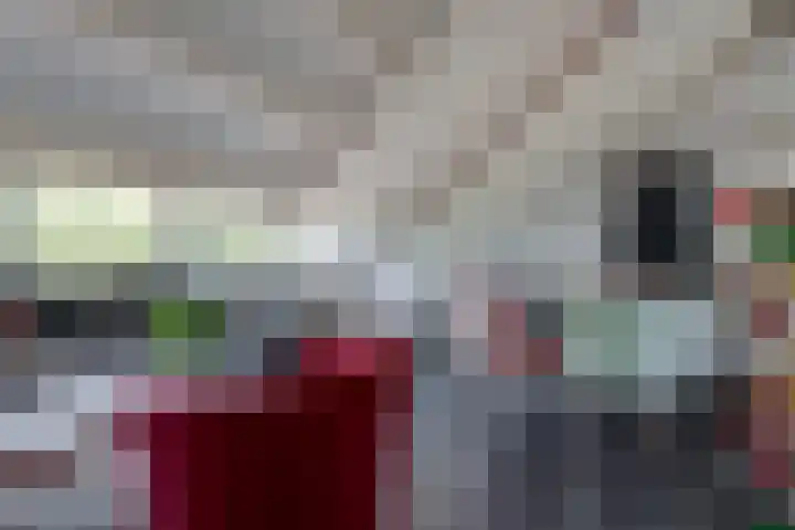 Van Erven Dorenspark 35 Laren thumbnail 11