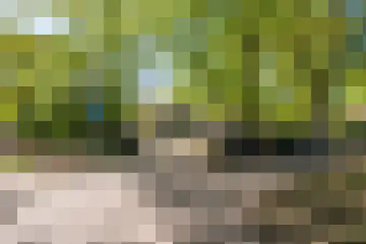 Van Erven Dorenspark 35 Laren thumbnail 21
