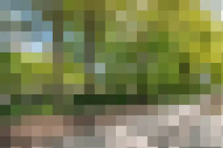 Van Erven Dorenspark 35 Laren thumbnail 22