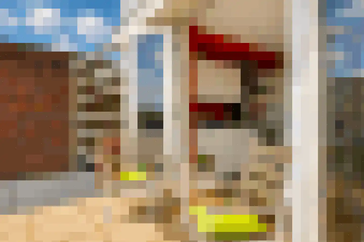 Van Erven Dorenspark 41 Laren thumbnail 13