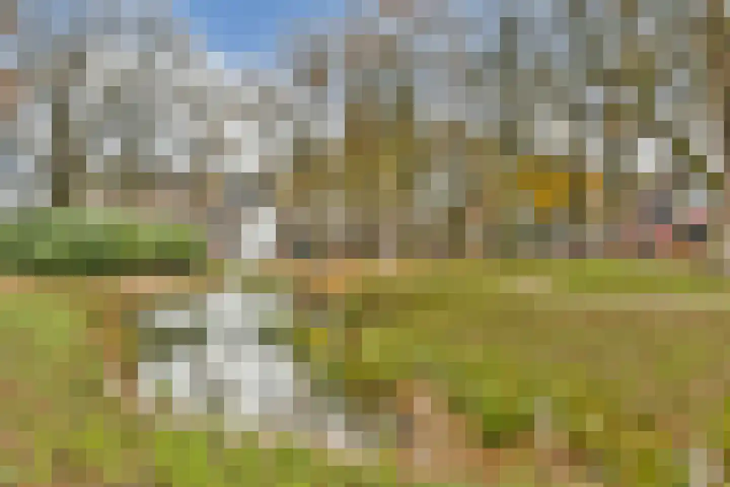 Van Erven Dorenspark 41 Laren thumbnail 20