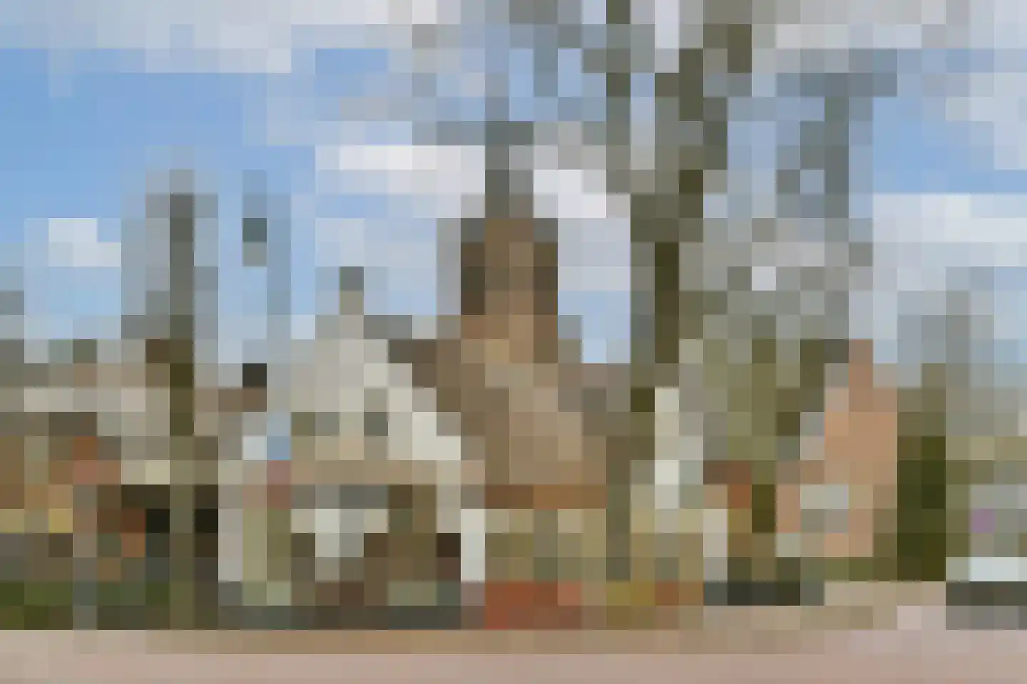 Van Erven Dorenspark 41 Laren thumbnail 21