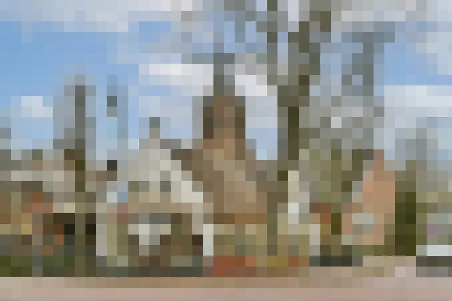 Van Erven Dorenspark 41 Laren thumbnail 22