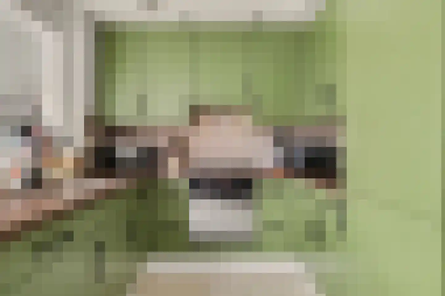 Van Esscheplantsoen 1 Strijen thumbnail 10