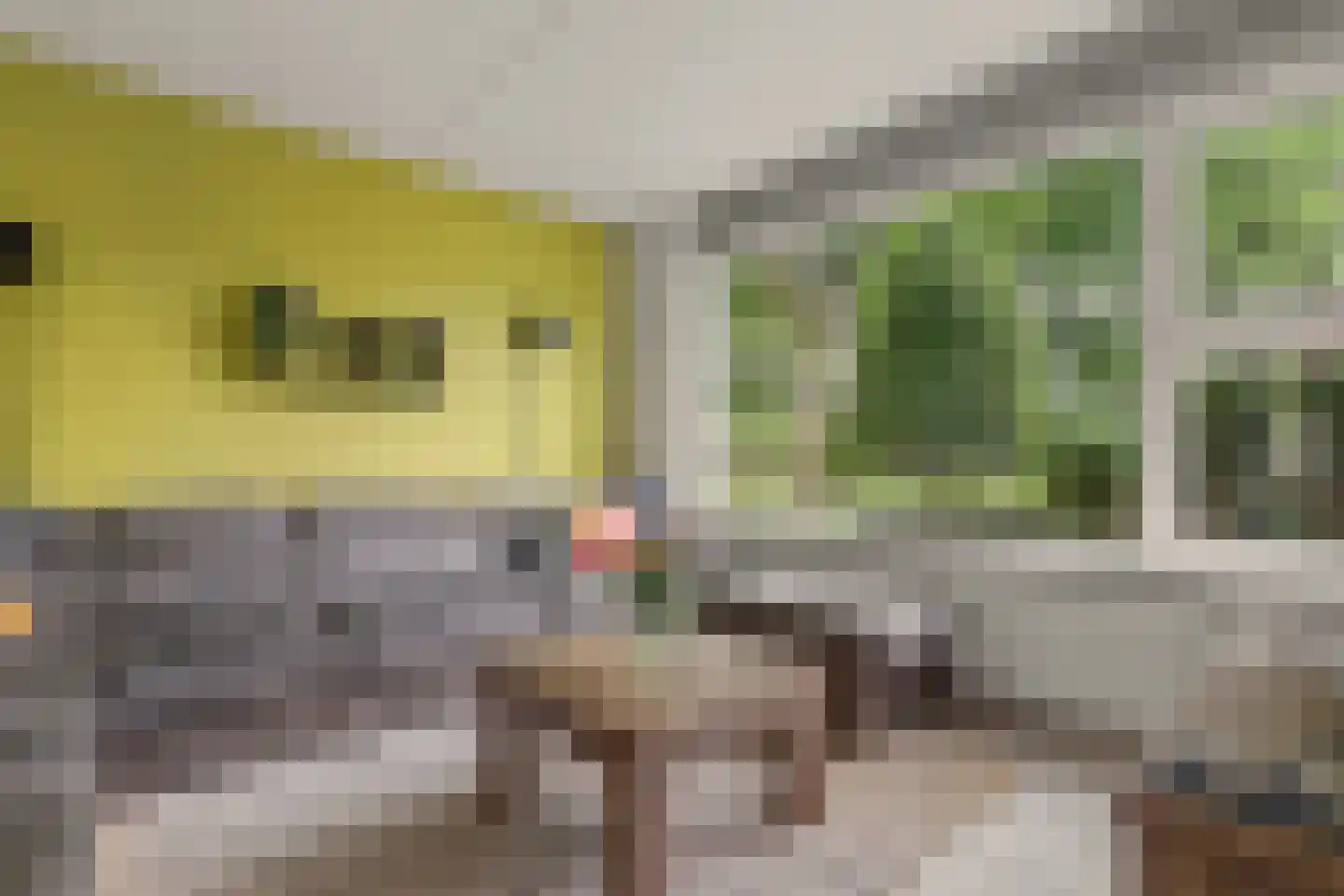 Van Esscheplantsoen 1 Strijen thumbnail 13