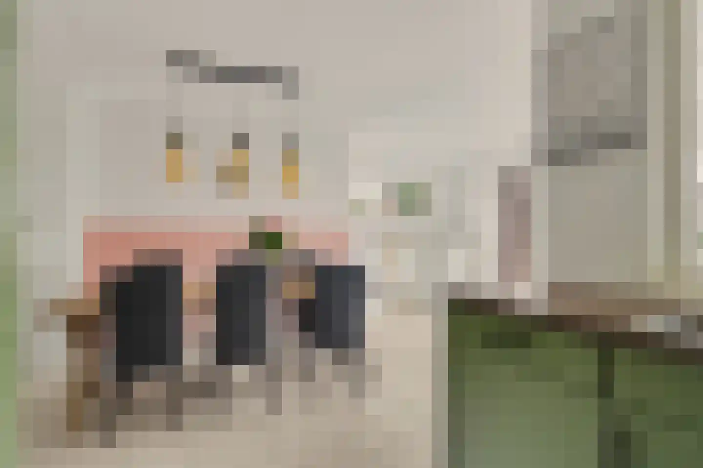 Van Esscheplantsoen 1 Strijen thumbnail 16