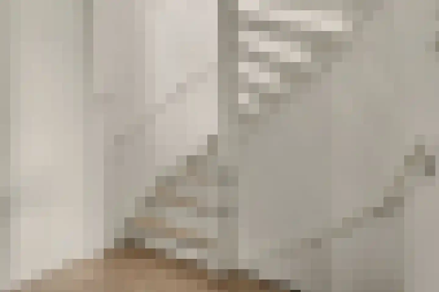 Van Esscheplantsoen 1 Strijen thumbnail 20
