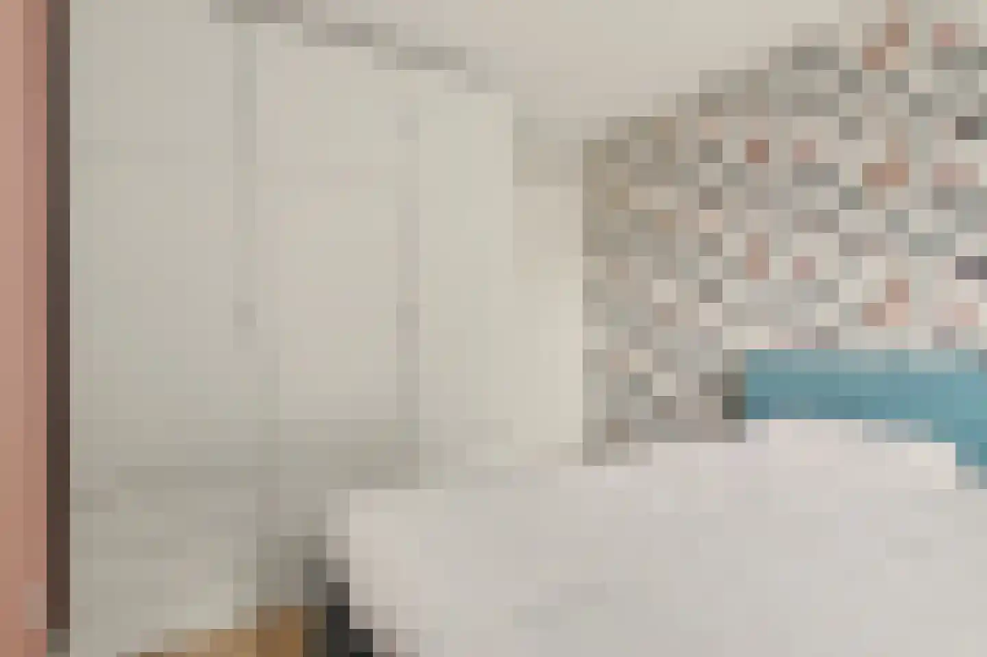 Van Esscheplantsoen 1 Strijen thumbnail 22