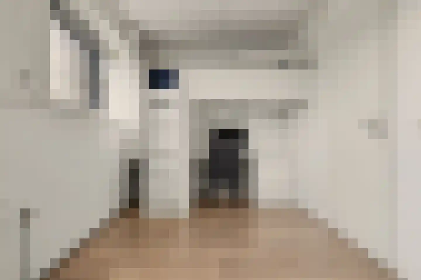 Van Esscheplantsoen 1 Strijen thumbnail 25
