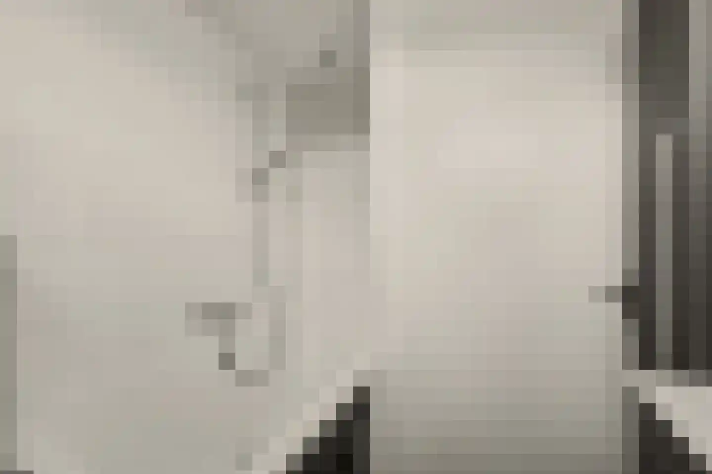Van Esscheplantsoen 1 Strijen thumbnail 27