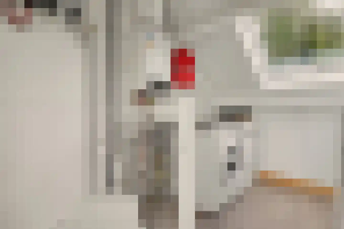 Van Esscheplantsoen 1 Strijen thumbnail 29