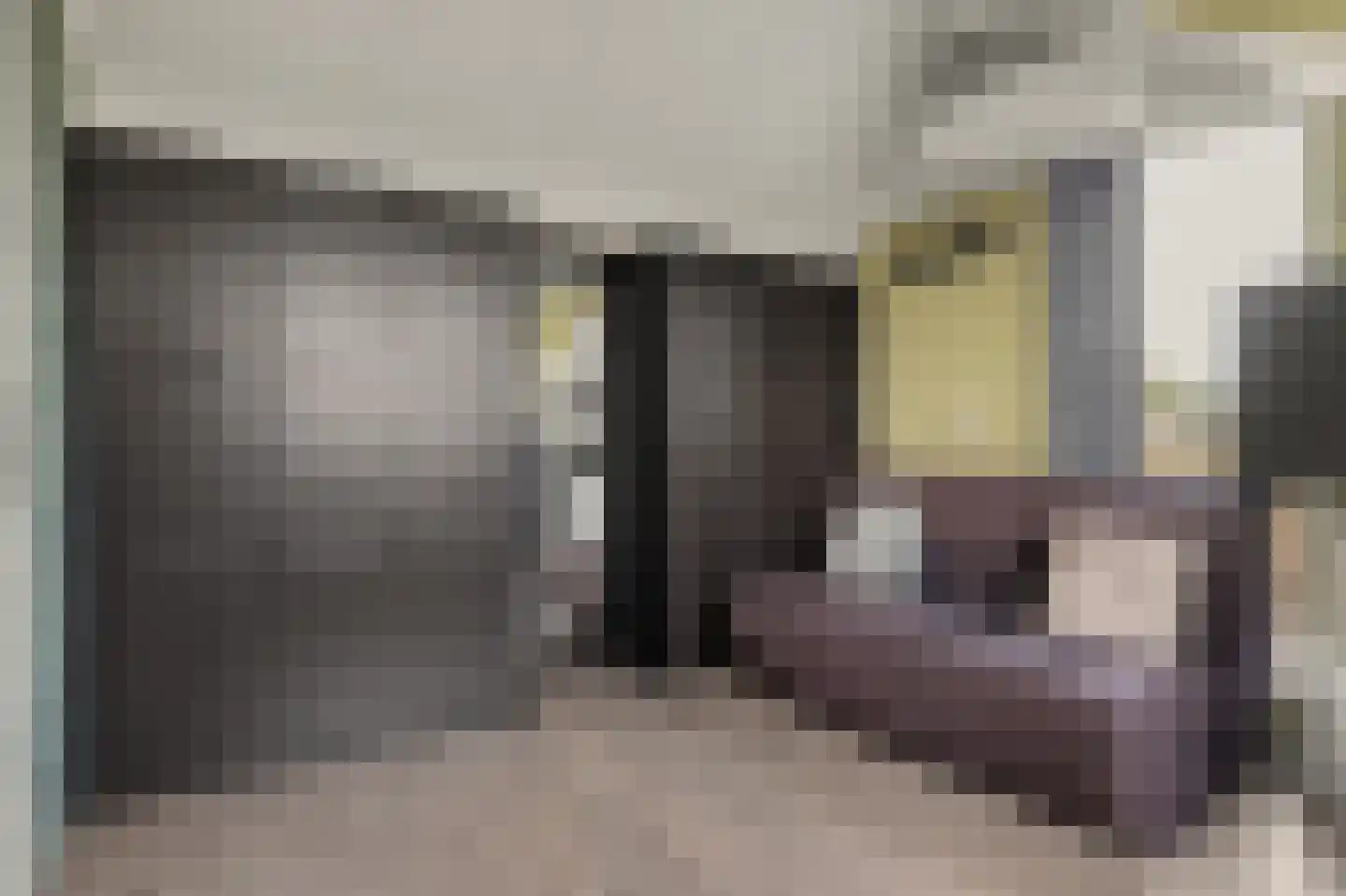 Van Esscheplantsoen 1 Strijen thumbnail 32