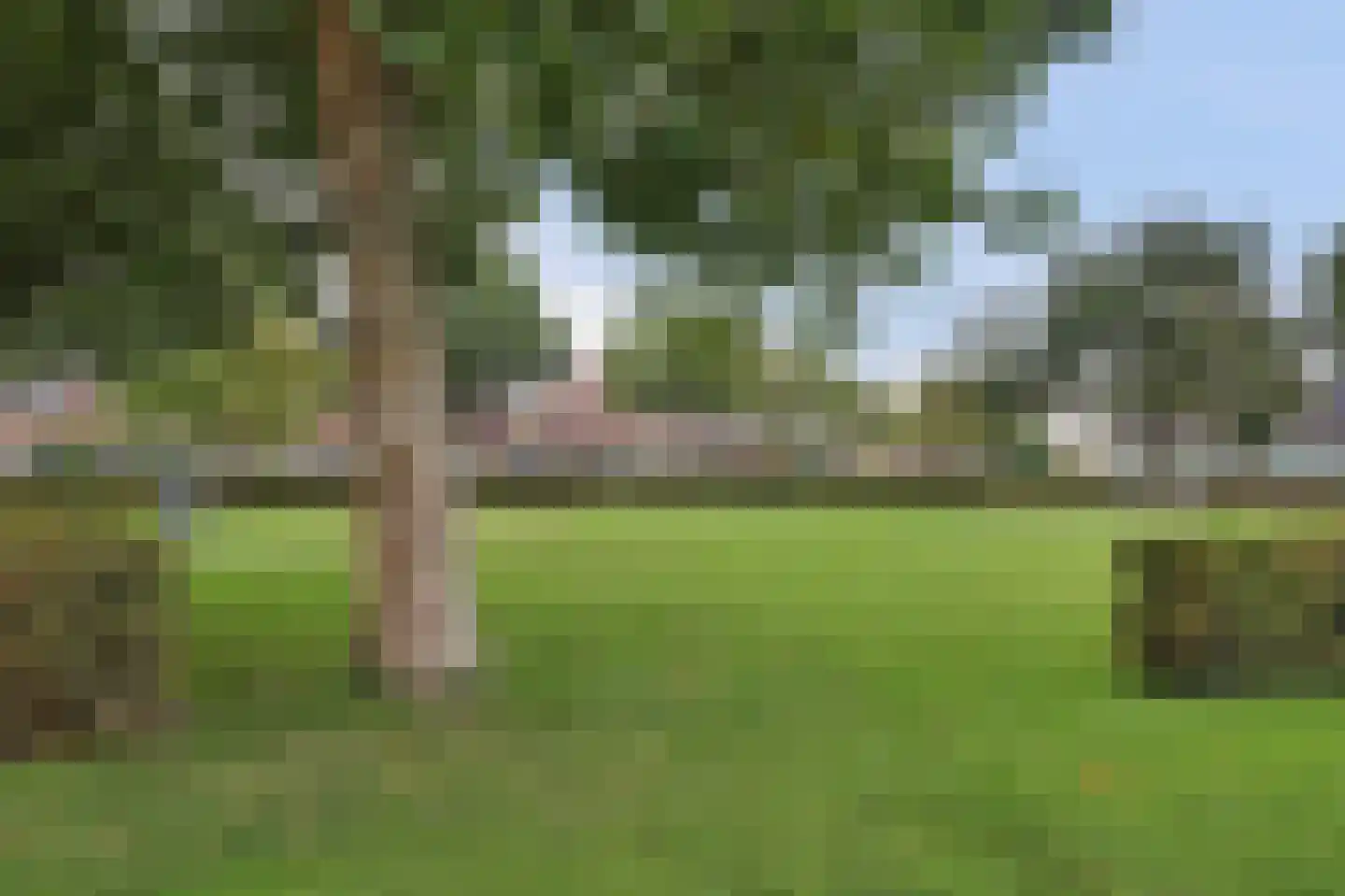 Van Esscheplantsoen 1 Strijen thumbnail 33