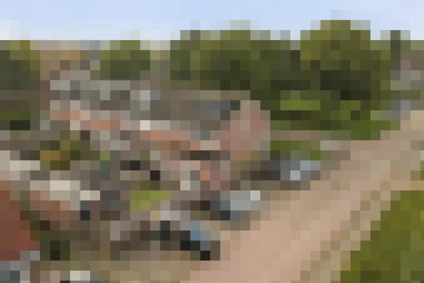 Van Esscheplantsoen 1 Strijen thumbnail 41
