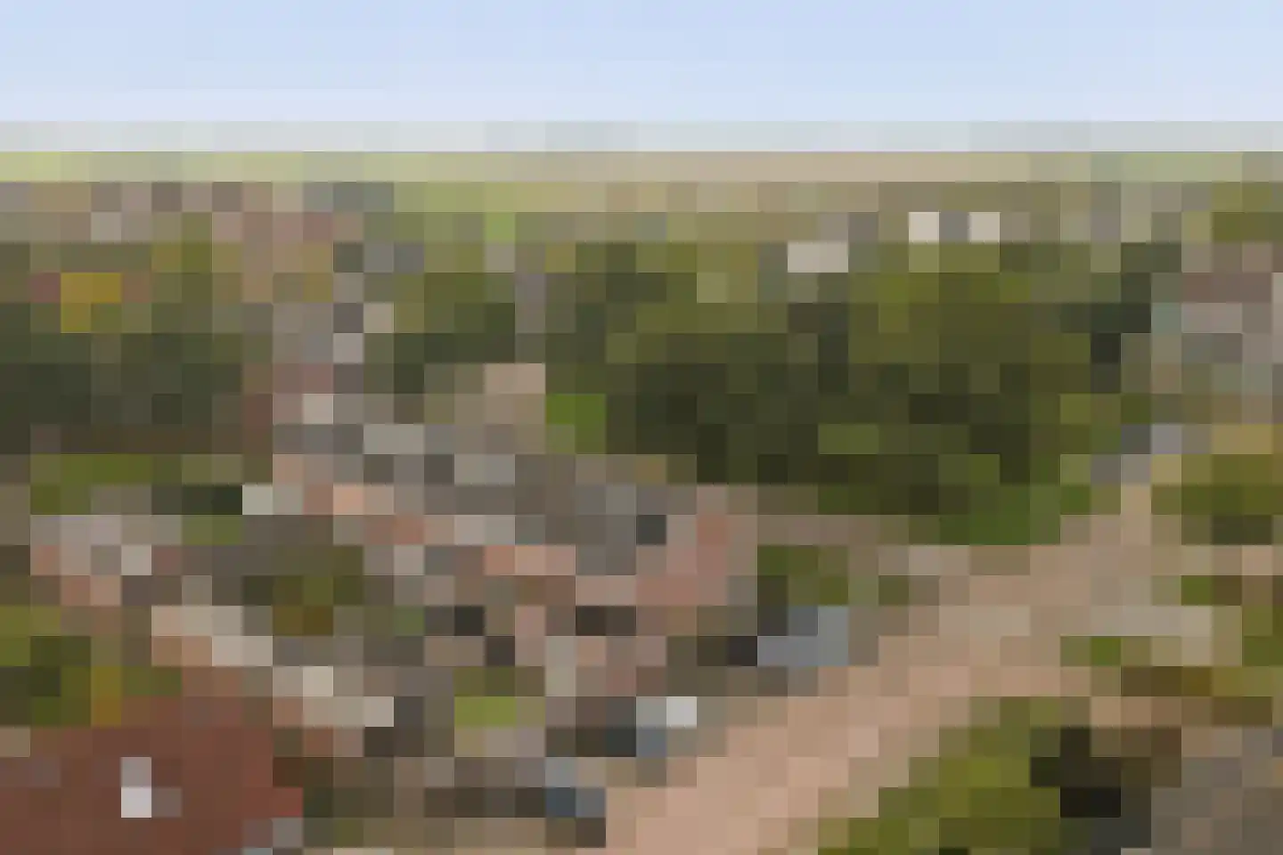 Van Esscheplantsoen 1 Strijen thumbnail 42