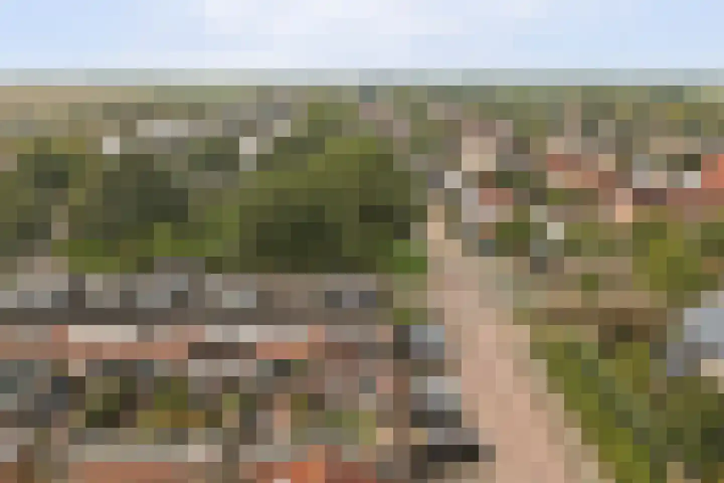 Van Esscheplantsoen 1 Strijen thumbnail 43