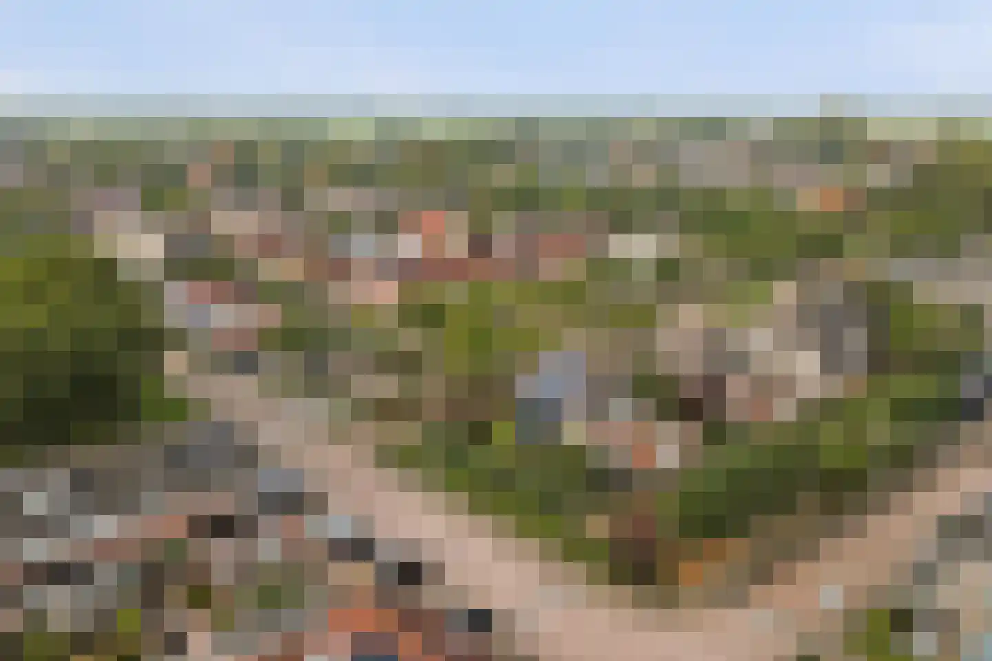 Van Esscheplantsoen 1 Strijen thumbnail 44