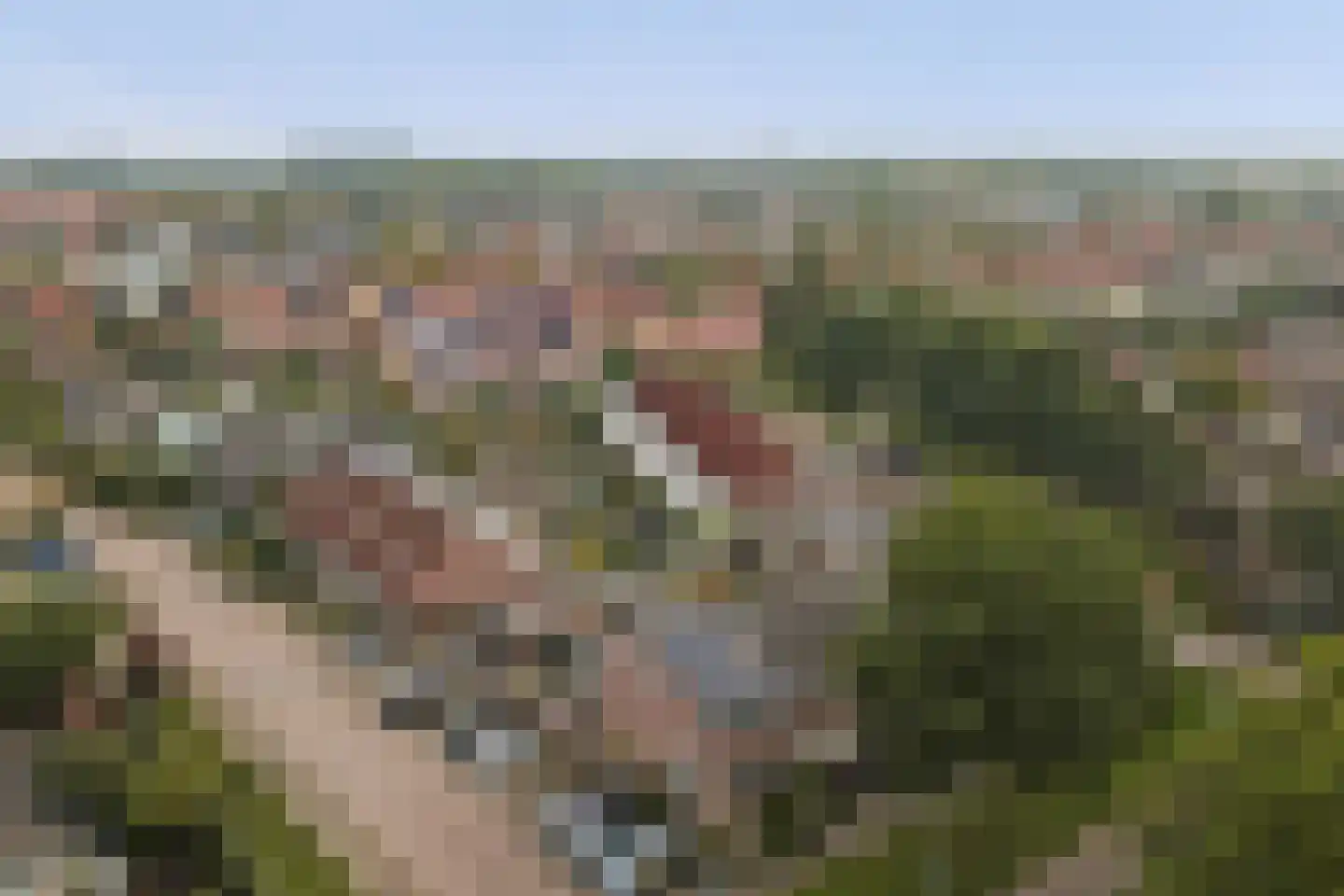 Van Esscheplantsoen 1 Strijen thumbnail 45