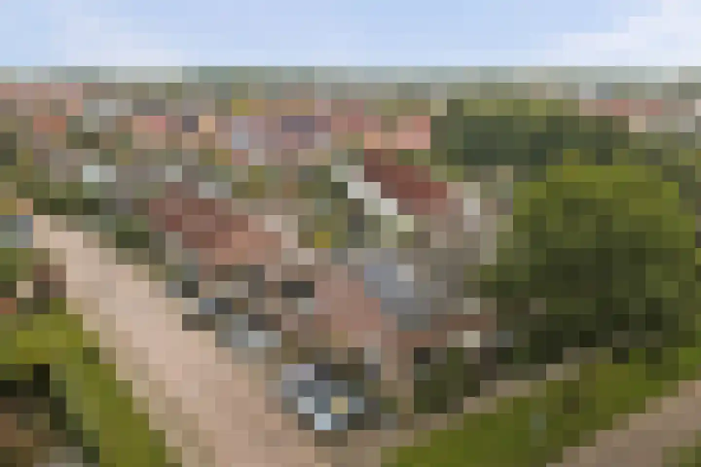 Van Esscheplantsoen 1 Strijen thumbnail 46
