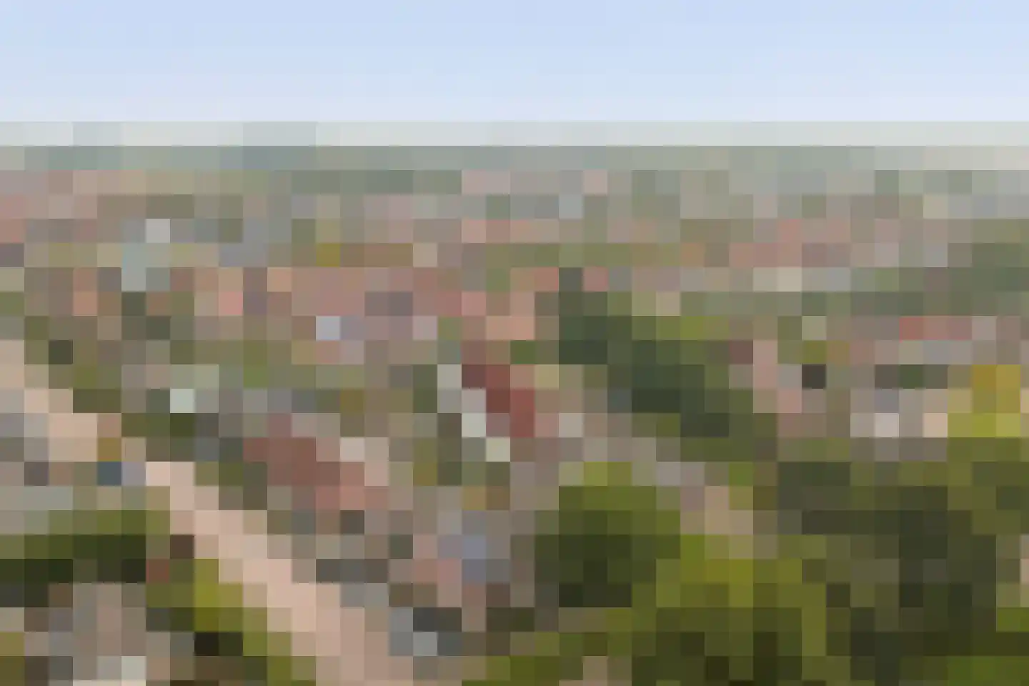 Van Esscheplantsoen 1 Strijen thumbnail 47