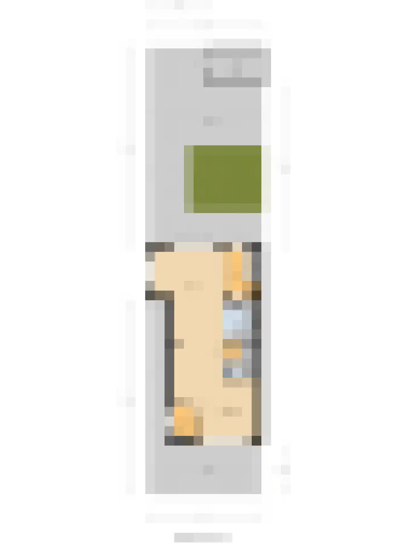 Van Esscheplantsoen 1 Strijen thumbnail 51